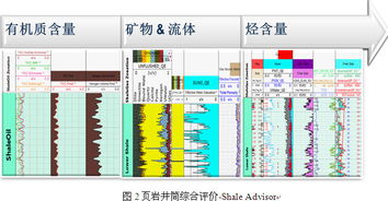 斯倫貝謝SIS中國網站 卓越的軟件產品與服務，賦能能源行業數字化未來