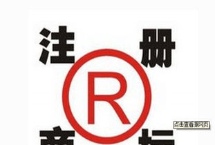 企業成長快車道 一站式綜合服務助力創業無憂